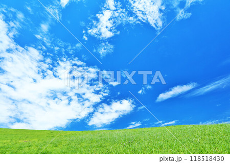 爽やかな夏の青空と新緑の草原風景 118518430