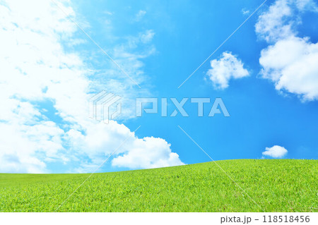 爽やかな夏の青空と新緑の草原風景 118518456