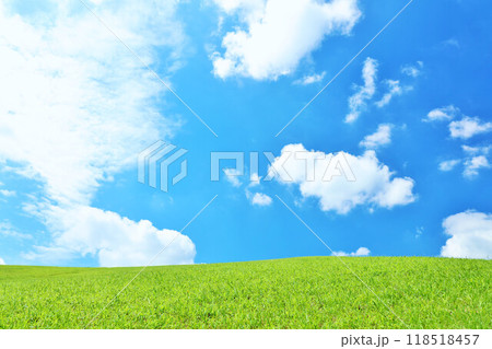 爽やかな夏の青空と新緑の草原風景 118518457