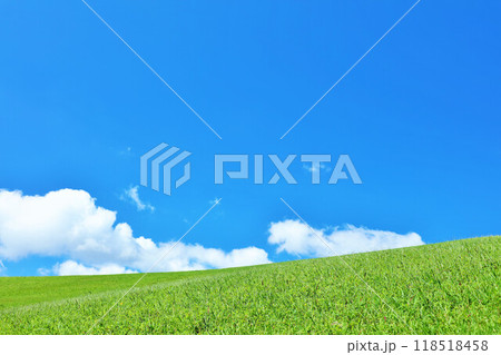 爽やかな夏の青空と新緑の草原風景 118518458