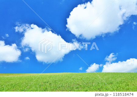 爽やかな夏の青空と新緑の草原風景 118518474