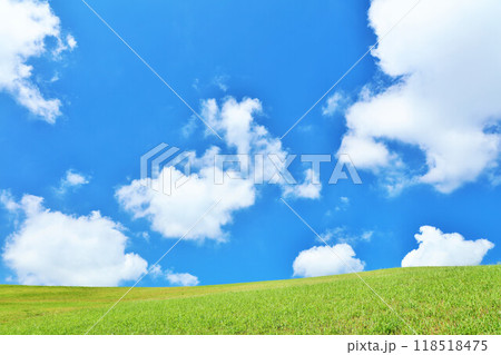 爽やかな夏の青空と新緑の草原風景 爽やかな夏の青空と新緑の草原風景 118518475