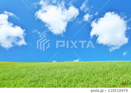 爽やかな夏の青空と新緑の草原風景 118518479