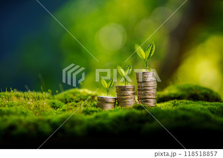 Financial and environmental growth,Silver coins stacked and small tree on the coins on moss in green nature. 118518857