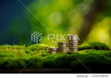 Money growth and environment, silver coins stacked on green moss in nature Money growth and environment, silver coins stacked on green moss in nature 118518858