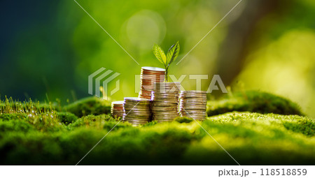 Money and environment concept,A stack of silver coins and a tree grows in the center,Financial growth, savings and the environment Money and environment concept,A stack of silver coins and a tree grows in the center,Financial growth, savings and the environment 118518859