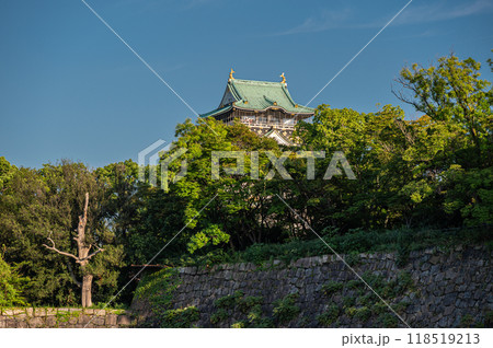 大阪城天守閣 118519213