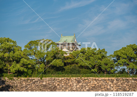大阪城天守閣 118519287