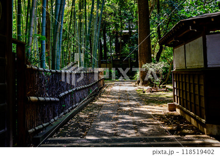 竹林がある寺の参道 118519402