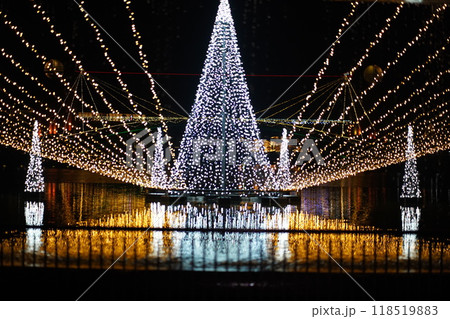 環水公園のクリスマスイルミネーション 118519883