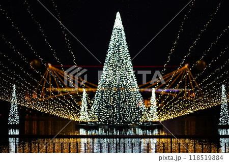 環水公園のクリスマスイルミネーション 118519884
