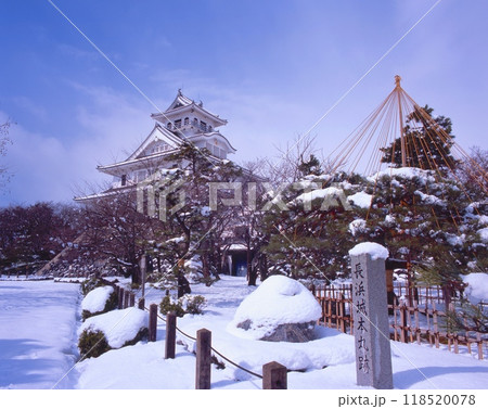 「長浜城」の雪景色 118520078