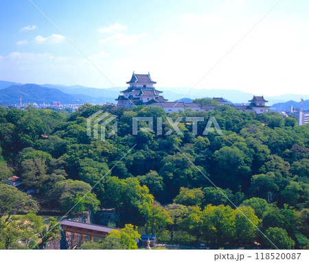 日本100名城「和歌山城」 118520087