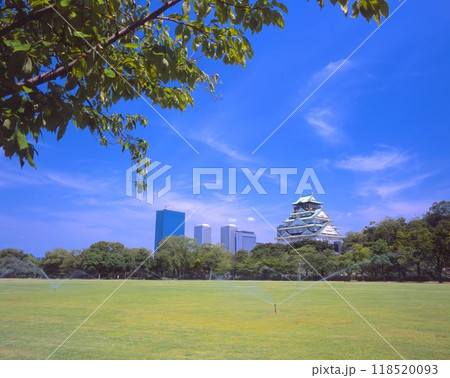 大阪城、西の丸庭園 118520093