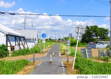 埼玉県八潮市中川沿いの道2024年9月 埼玉県八潮市中川沿いの道2024年9月 118520467