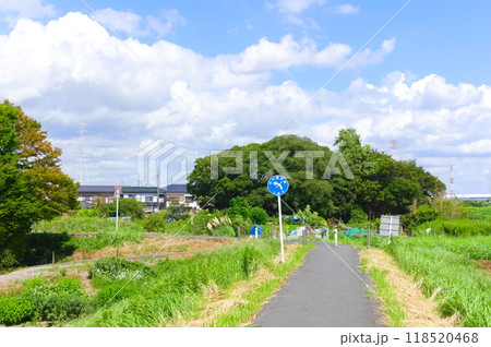 埼玉県八潮市中川沿いの道2024年9月 埼玉県八潮市中川沿いの道2024年9月 118520468