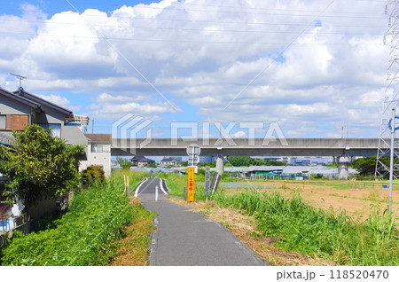 埼玉県八潮市中川沿いの道2024年9月 118520470