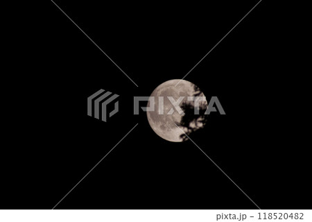 中秋の名月 月の右に枝がかかる 背景黒 コピースペース 中秋の名月 月の右に枝がかかる 背景黒 コピースペース 118520482