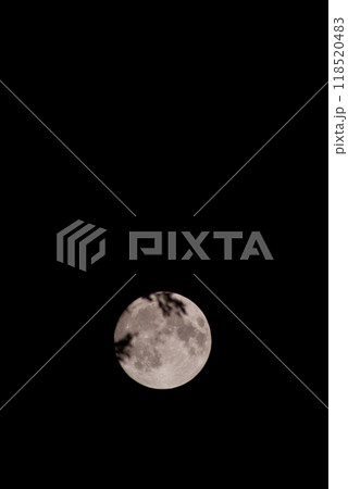 中秋の名月　月の左に枝がかかる　背景黒　コピースペース縦上 118520483