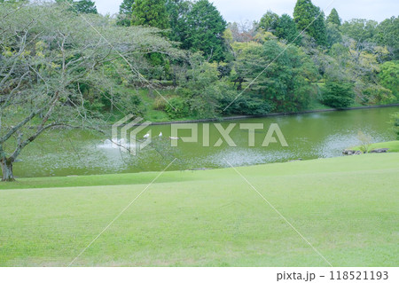 白鳥のいる池と広い庭園 118521193