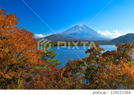 秋の風景　富士山と紅葉の本栖湖　山梨県 118521368