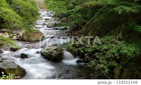 新緑の中を流れる渓谷　和歌山県日高川町「万歳の滝」　 118522149