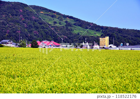 道の駅あらい周辺の風景(新潟県妙高市)【2024.9】 道の駅あらい周辺の風景(新潟県妙高市)【2024.9】 118522176