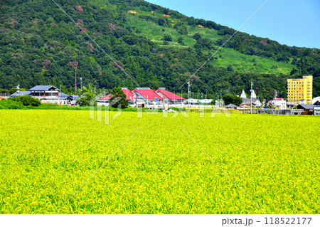 道の駅あらい周辺の風景(新潟県妙高市)【2024.9】 118522177