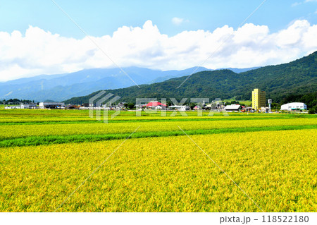 道の駅あらい周辺の風景(新潟県妙高市)【2024.9】 118522180