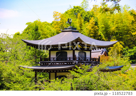 【京都風景】6月のさわやかな日の勧修寺 118522783