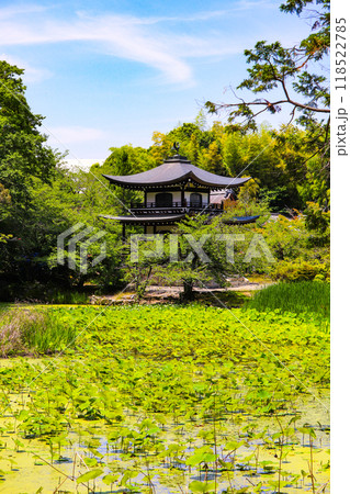 【京都風景】6月のさわやかな日の勧修寺 【京都風景】6月のさわやかな日の勧修寺 118522785