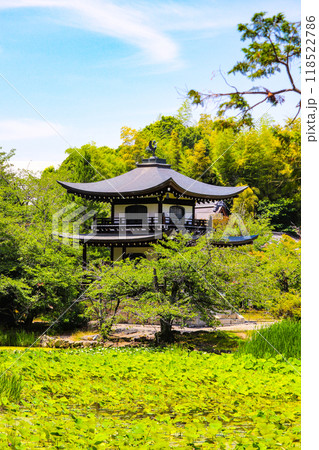 【京都風景】6月のさわやかな日の勧修寺 【京都風景】6月のさわやかな日の勧修寺 118522786