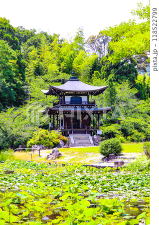 【京都風景】6月のさわやかな日の勧修寺 【京都風景】6月のさわやかな日の勧修寺 118522799