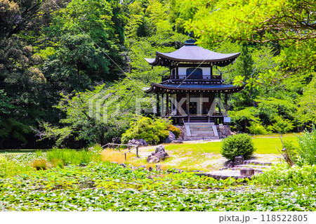 【京都風景】6月のさわやかな日の勧修寺 【京都風景】6月のさわやかな日の勧修寺 118522805