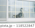 窓の外を見つめる猫 118522847