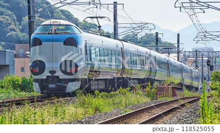 南紀を走るJR西日本特急「パンダくろしおSmileアドベンチャートレイン」 118525055