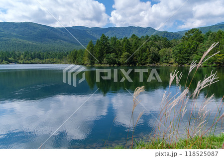 八千穂高原の湖 八千穂高原の湖 118525087