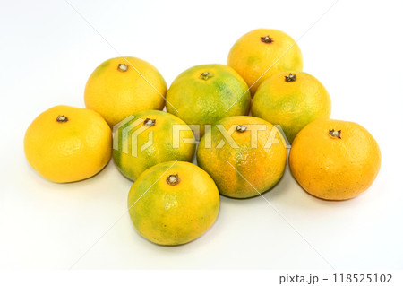 みかん（太良みかん） 118525102