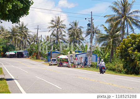 東河郷地区の花東海岸公路の風景【台湾/台東県】 118525208