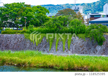 【京都風景】鴨川を歩く(七条大橋から三条大橋まで) 【京都風景】鴨川を歩く(七条大橋から三条大橋まで) 118525395