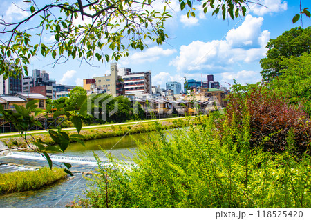 【京都風景】鴨川を歩く（七条大橋から三条大橋まで） 118525420