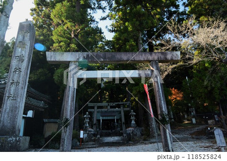 鳴谷神社の鳥居 鳴谷神社の鳥居 118525824