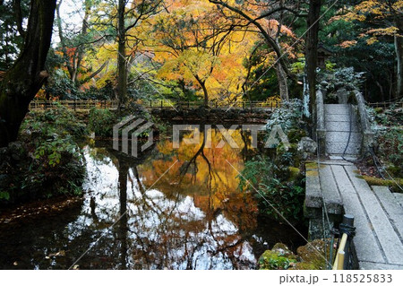 鏡池の水面に映る紅葉 118525833