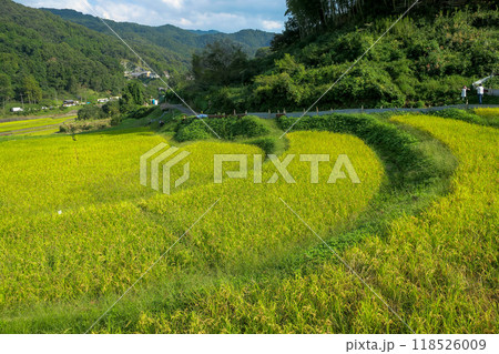 奈良・明日香村 稲渕の棚田 案山子ロード 118526009