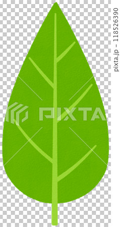 葉_披針形 葉_披針形 118526390