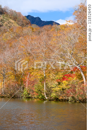 小谷温泉付近にある鎌池と雨飾山 118526450