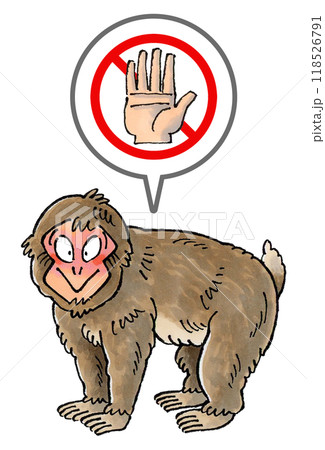 ニホンザルを触るな禁止マーク ニホンザルを触るな禁止マーク 118526791