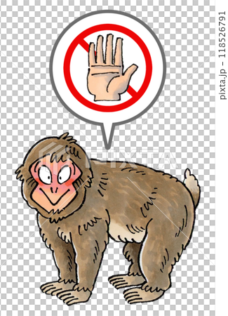 ニホンザルを触るな禁止マーク ニホンザルを触るな禁止マーク 118526791