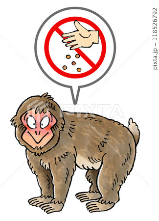 ニホンザルに餌やり禁止マーク ニホンザルに餌やり禁止マーク 118526792