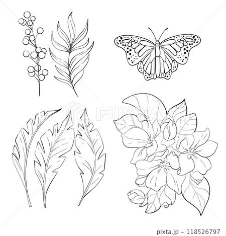 Vector set - butterfly monarch, palm leaves. Bright flower. Vintage elegant clipart. Spring and tropical cartoon butterfly. Isolated. Black silhouette for circuit 118526797